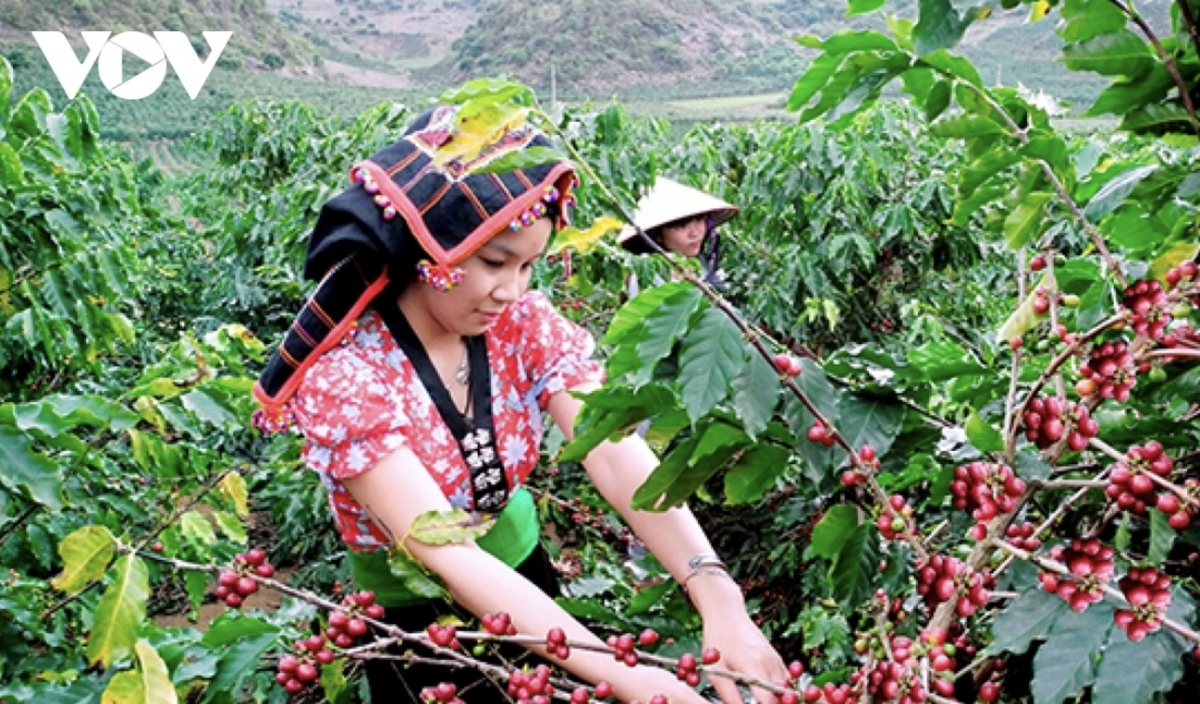 US$4.1 bln trade surplus for agricultural sector since start of 2025